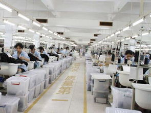 內衣廠家為何信賴波而朵 品質、創新與服務的三重保障